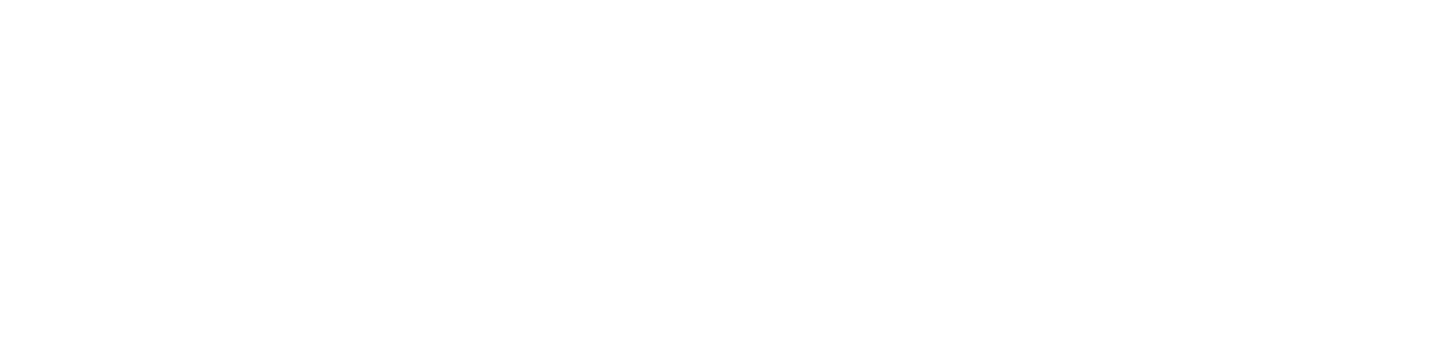 Lykos Consulting
